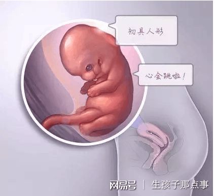 清砚堂中医馆